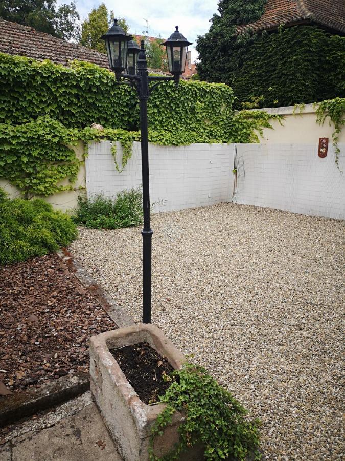 Appart 4 Pers Design Et Cosy Avec Jardin Au Coeur De Sélestat Εξωτερικό φωτογραφία